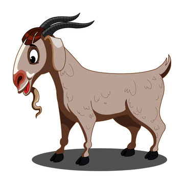 Male Goat - Cartoon Vector Image