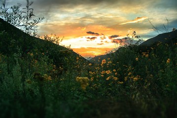 atardecer
