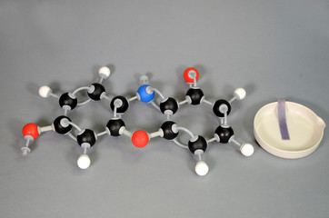 Molecule model of Litmus in blue state, with a piece of blue litmus paper on a white plate. White is Hydrogen, black is Carbon, red is  Oxygen, and blue is Nitrogen.