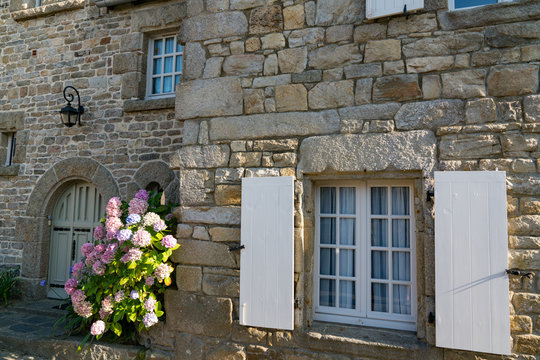 typical stone house front in Brittany with colorful hydrangea flower beds