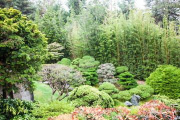 Obraz premium jardín botánico chino en San Francisco