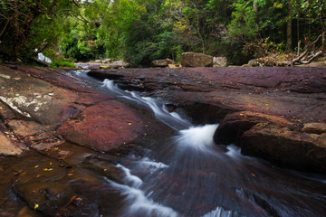 Jungle stream in the mountains in Sri Lanka