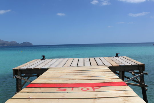 รูปภาพPlantschen – เลือกดูภาพถ่ายสต็อก เวกเตอร์ และวิดีโอ3,053 | Adobe ...