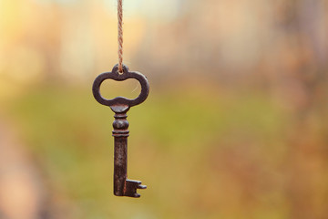 An old key hangs on a tree branch, against the background of a forest road.  Blurred background, space for text - Powered by Adobe