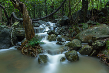 Fototapeta premium waterfall in the forest