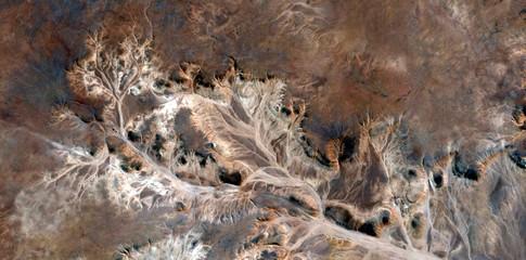 the aftermath of autumn, Stone plant fantasy, abstract photography of the, deserts of Africa from...