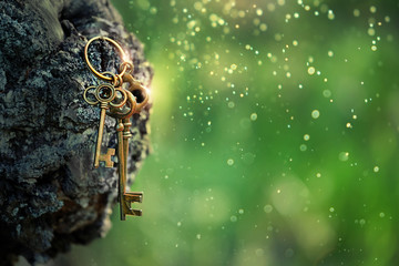 vintage golden keys on forest background. magical art composition with beautiful key, concept...