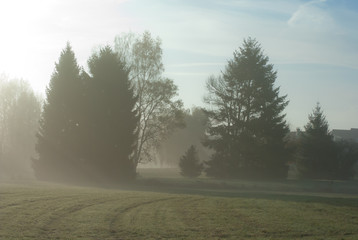 Obraz na płótnie Canvas Der Nebel