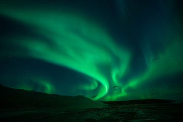 Northern lights at the Geysir Srokkur Iceland