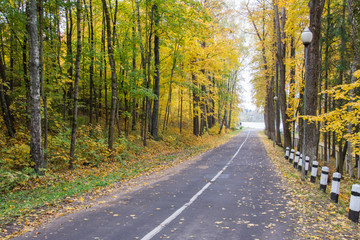 Autumn road background