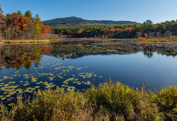 Mount Monadnock 1