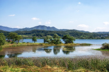 Garden of water river side view