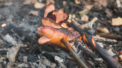 cooking sausages on a campfire on a camping trip