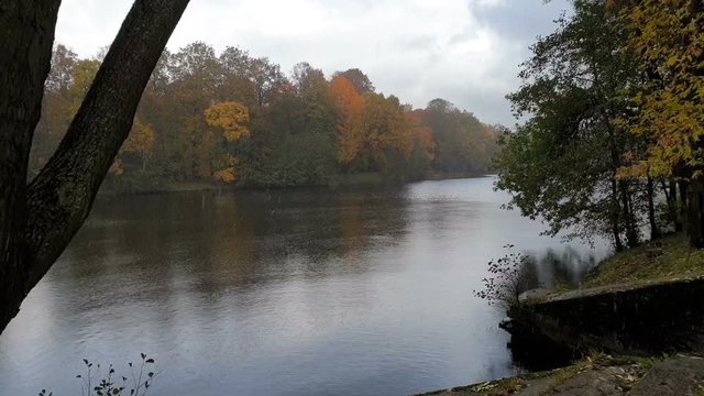 Saint-Petersburg, Russia. October Autumn park and river, panoramic view. Mobile photography