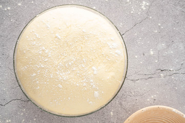 Fresh dough on the table. Copy space.