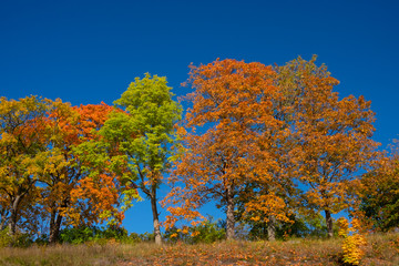 Fototapeta premium Beautiful fall colors in Naantali, Finland.