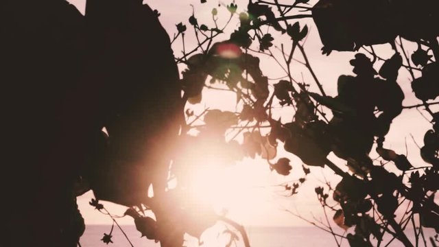 Majestic of sunset at the Tanjung Aru beach