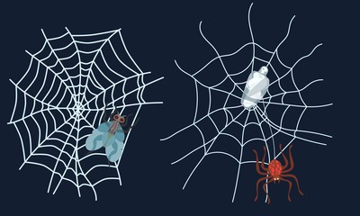 spider web set in flat style. vector work
