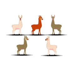 Llama - Cartoon Vector Image Collection