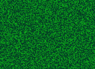 Fototapeta premium many twisted green bio cells
