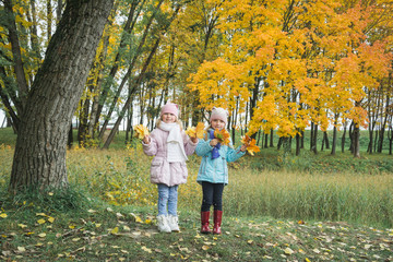 Naklejka na ściany i meble Two little girls in the autumn park