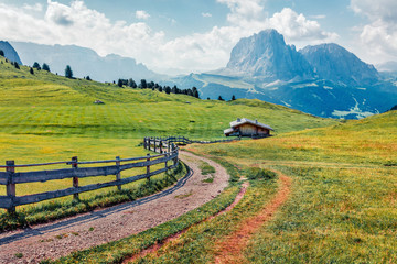 Sunny summer view of Sassolungo (Langkofel) range in National Park Dolomites, South Tyrol, Italy, Europe. Colorful morning scene of Gardena valley, Dolomiti Alps. Beauty of nature concept background.