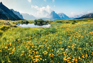 Fototapeta premium Sunny summer view of Sassolungo (Langkofel) range in National Park Dolomites, South Tyrol, Italy, Europe. Splendid morning scene of Gardena valley, Dolomiti Alps. Beauty of nature concept background.