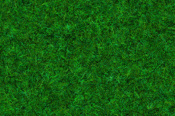 lush green grass hi-res background