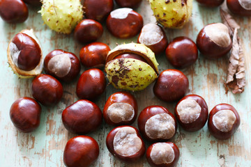 Kastanien im Herbst, Herbstanfang, Früchte der Rosskastanie, Deko, balsteln, waschen, Nutzung zum...