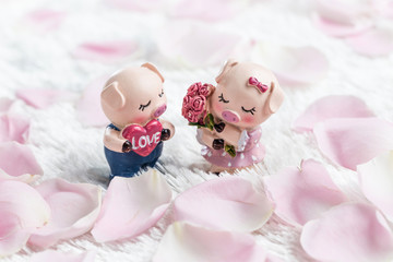 Obraz na płótnie Canvas Two piglets in a rose petal