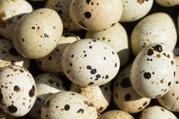 Quail eggs are considered a delicacy in many parts of the world.