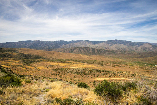 Arid Arizona Desert Landscape. Dry desert landscape with the Tucson Mountains at the horizon.
