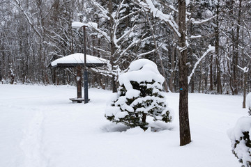 冬の公園
