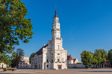 Fototapeta na wymiar Kaunas - White Swan Town Hall in the center of Kaunas in Lithuania
