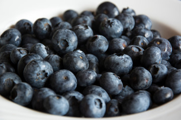 A Serving of Fresh Blueberries in Germany, Europe