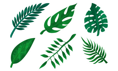 Fototapeta na wymiar Vector Illustration Set With Green Leaves And Twigs Of Different Plants