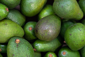 Bunch of ripe green avocados. may be used for guacamole cooking