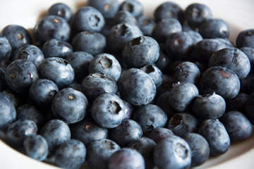 A Serving of Fresh Blueberries in Germany, Europe
