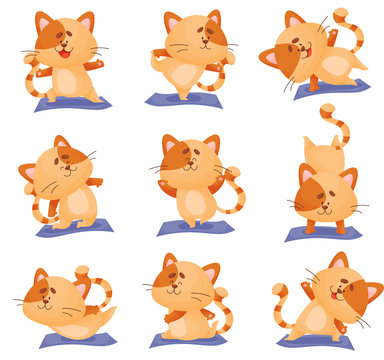 Cute orange kitten does yoga. Vector illustration.