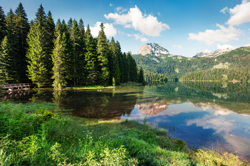 Captivating morning view of Black Lake ( Crno Jezero ). Wonderful summer scene of Durmitor Nacionalni Park, Zabljak location, Montenegro, Europe. Beauty of nature concept background.