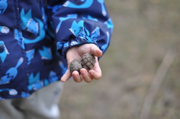 bumps on a child's arm