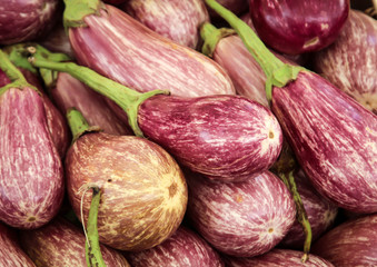 Frische Aubergine die auf dem Markt angeboten werden 