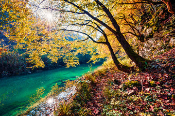 Obrazy na Szkle  Słoneczny poranek widok czystej wody rzeki w Parku Narodowym Plitvice. Wspaniała jesienna scena z Chorwacji, Europy. Opuszczone miejsca z serii Jeziora Plitwickie. Piękno natury koncepcja tło.