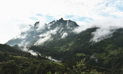 Obraz premium Doi Luang Chiang Dao in Chiang Mai