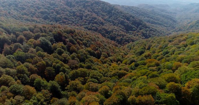 Aerial motion view of mountains and forest in autumn