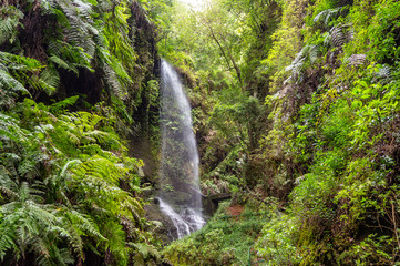 Waterfall of Los Tilos on La Palma