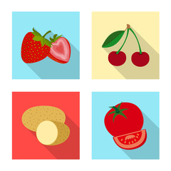 Vector design of vegetable and fruit icon. Collection of vegetable and vegetarian stock symbol for web.