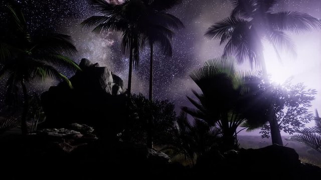 4K Astro of Milky Way Galaxy over Tropical Rainforest. Elements of this image furnished by NASA