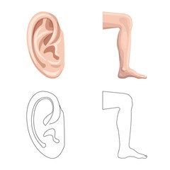 Vector design of human and part symbol. Collection of human and woman stock vector illustration.