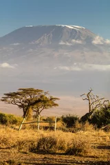 Papier Peint photo autocollant Kilimandjaro View of Mt Kilimanjaro in the afternoon